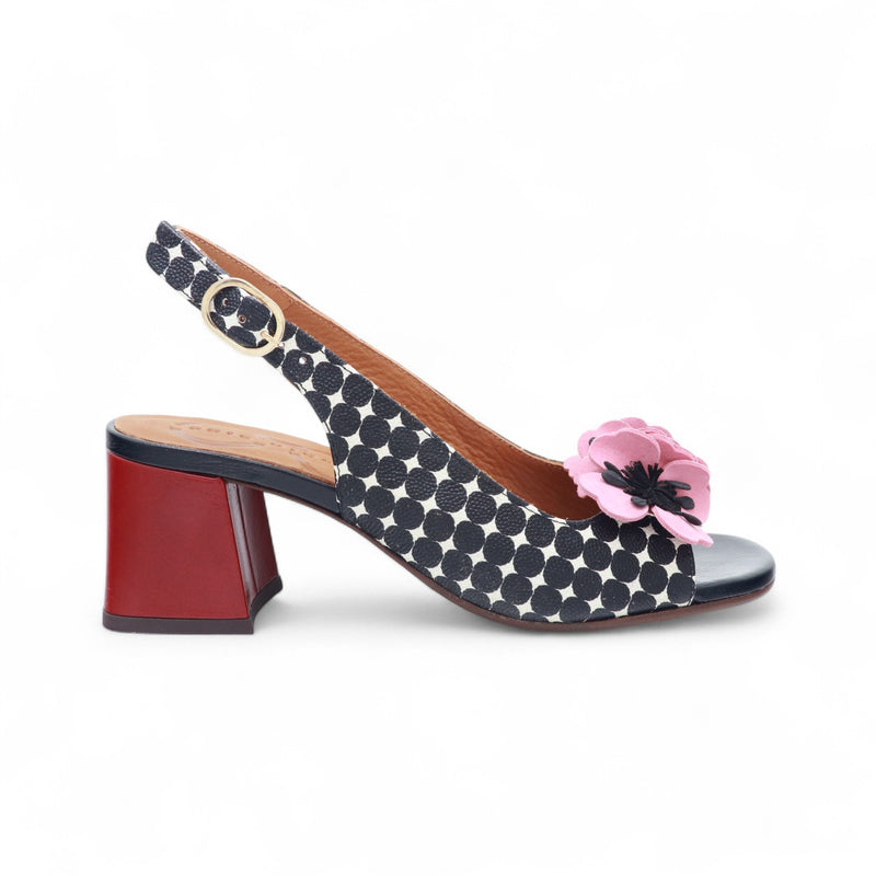 CHIE MIHARA LILOLA NEGRO /ANTE ROSETA