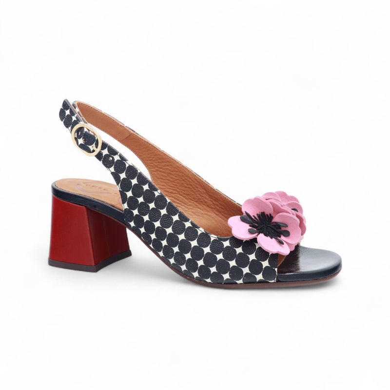 CHIE MIHARA LILOLA NEGRO /ANTE ROSETA