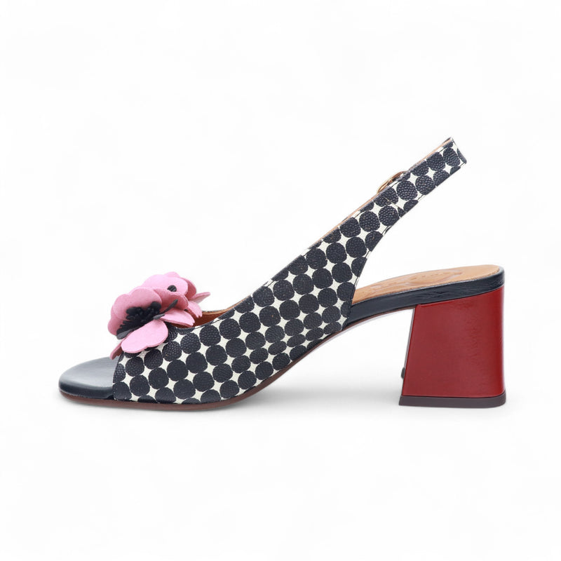 CHIE MIHARA LILOLA NEGRO /ANTE ROSETA