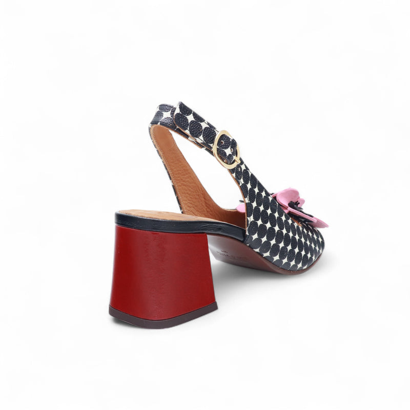 CHIE MIHARA LILOLA NEGRO /ANTE ROSETA